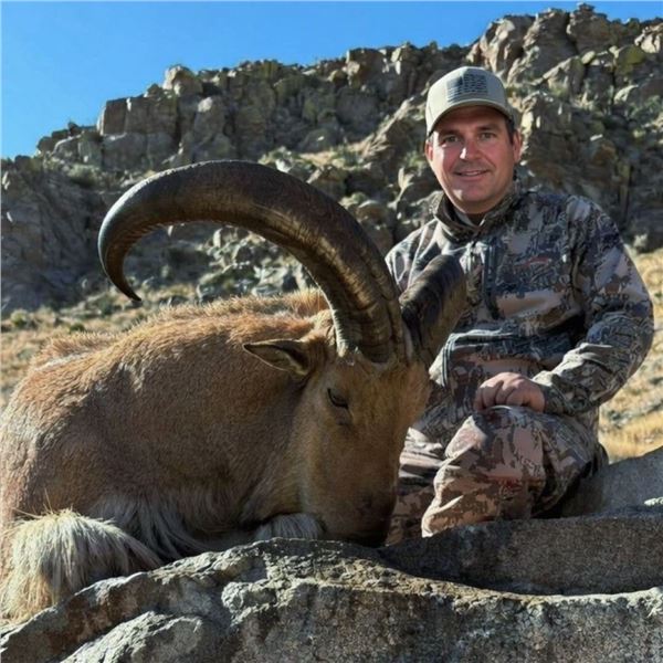 Mexico: 5 Day and 6 Night Aoudad Hunt for 2 Hunters, includes Trophy Aoudad per Hunter