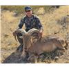 Image 3 : Mexico: 5 Day and 6 Night Aoudad Hunt for 2 Hunters, includes Trophy Aoudad per Hunter