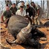 Image 11 : Mozambique: 10 Day Cape Buffalo 2026 Cancellation Hunt for 1 hunter, Includes 1 Cape Buffalo + tf di