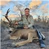 Image 2 : Mexico: Sonora 8 Day Trophy Mule Deer Hunt for 2 Hunters, Includes 1 175+ trophy buck per hunter.