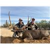 Image 6 : Mexico: Sonora 8 Day Trophy Mule Deer Hunt for 2 Hunters, Includes 1 175+ trophy buck per hunter.