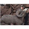Image 7 : Mexico: Sonora 8 Day Trophy Mule Deer Hunt for 2 Hunters, Includes 1 175+ trophy buck per hunter.