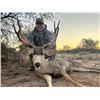 Image 8 : Mexico: Sonora 8 Day Trophy Mule Deer Hunt for 2 Hunters, Includes 1 175+ trophy buck per hunter.