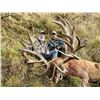 Image 3 : New Zealand: 5 D, 4 N Hunt for 1 Hunter & 1 Observer + 1 Himalayan Tahr OR 1 Red Stag
