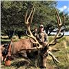 Image 11 : Argentina: 5 Day 4 Night Trophy Big Game Hunt for 1 Hunter, includes 1 Red Stag or 1 Buffalo.