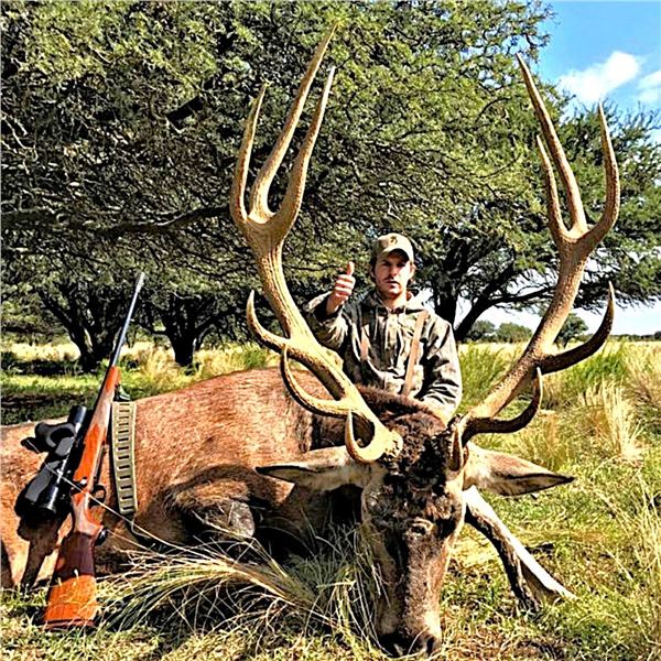 Argentina: 5 Day 4 Night Trophy Big Game Hunt for 1 Hunter, includes 1 Red Stag or 1 Buffalo.
