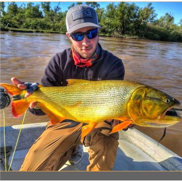 Argentina: Northern Territories 5 Day 6 Night Free Range Hunt & Golden Dorado Fishing for 4 hunters.
