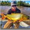 Image 1 : Argentina: Northern Territories 5 Day 6 Night Free Range Hunt & Golden Dorado Fishing for 4 hunters.