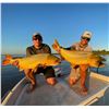 Image 7 : Argentina: Northern Territories 5 Day 6 Night Free Range Hunt & Golden Dorado Fishing for 4 hunters.