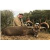 Image 6 : Texas: 3 Day 2 Night Whitetail & Exotic Hunt for 2 Hunters / Includes a $6,000 Trophy Fee Credit