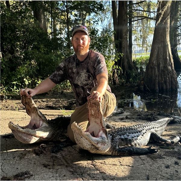 Florida: 2 Day and 2 Night Alligator hunt for 2 Hunters, including the trophy fees for 2 Alligators