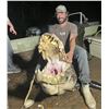 Image 5 : Florida: 2 Day and 2 Night Alligator hunt for 2 Hunters, including the trophy fees for 2 Alligators