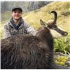 Image 12 : New Zealand: 3 Day 4 Night Chamois Hunt for 2 Hunters, Including the Trophy Fees for 2 Chamois