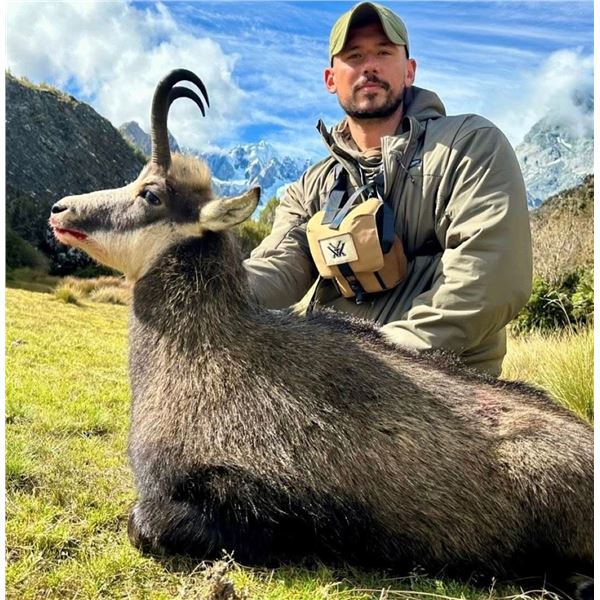 New Zealand: 3 Day 4 Night Chamois Hunt for 2 Hunters, Including the Trophy Fees for 2 Chamois