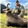 Image 1 : New Zealand: 3 Day 4 Night Chamois Hunt for 2 Hunters, Including the Trophy Fees for 2 Chamois
