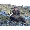 Image 5 : New Zealand: 3 Day 4 Night Chamois Hunt for 2 Hunters, Including the Trophy Fees for 2 Chamois