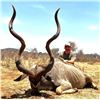 Image 5 : Namibia: 9 D Plainsgame Hunt for 2 Hunters , Includes two  Gemsbok, and a day Etosha Park.