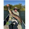Image 8 : Namibia: 9 Day Fishing & Etosha Park trip for 2 Anglers, Includes 3 Ocean & 3 River Days of fishing.