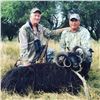 Image 15 : Argentina: 5 Day Hunt for 4 hunters, includes 1 Blackbuck, 1 Patagonic Ram and 2 Wild Boars
