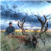 Image 2 : Argentina: 5 Day Hunt for 4 hunters, includes 1 Blackbuck, 1 Patagonic Ram and 2 Wild Boars