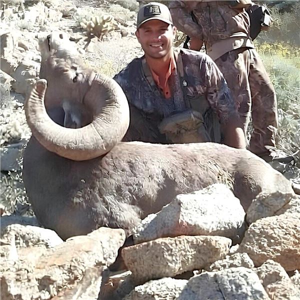 Sonora: 13 Day 100% Free-Range Desert Bighorn Sheep Cancellation hunt for 1 hunter
