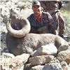 Image 1 : Sonora: 13 Day 100% Free-Range Desert Bighorn Sheep Cancellation hunt for 1 hunter