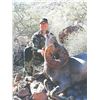Image 3 : Sonora: 13 Day 100% Free-Range Desert Bighorn Sheep Cancellation hunt for 1 hunter