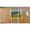 Image 2 : ARENA SOCCER PROFESSIONAL BACKYARD SPORTS ARENA NET SYSTEM *IN BOX, 2 BOXES*