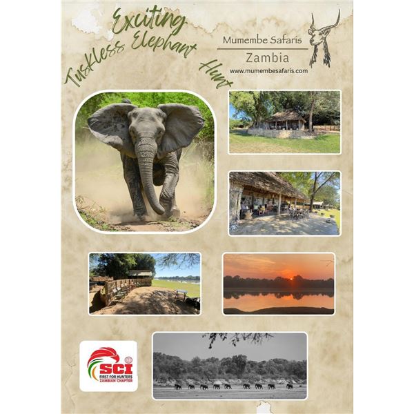 Elephant Hunt - Luangwa Valley