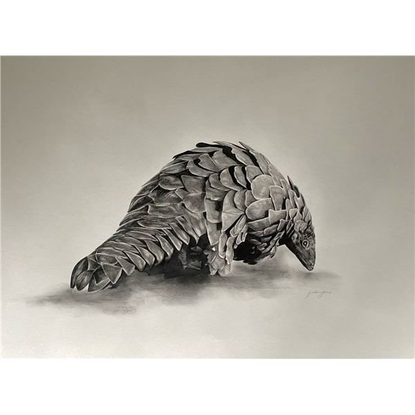 Original African Pangolin Drawing