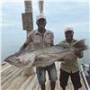 Image 12 : Fishing safari on Lake Tanganyika