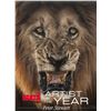 Image 1 : Canvas Prints - SCI Artist of the year 2025 - Lion by Peter Stewart
