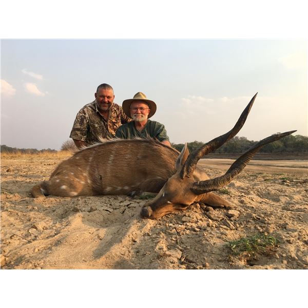 Game Farm hunt - Zambia