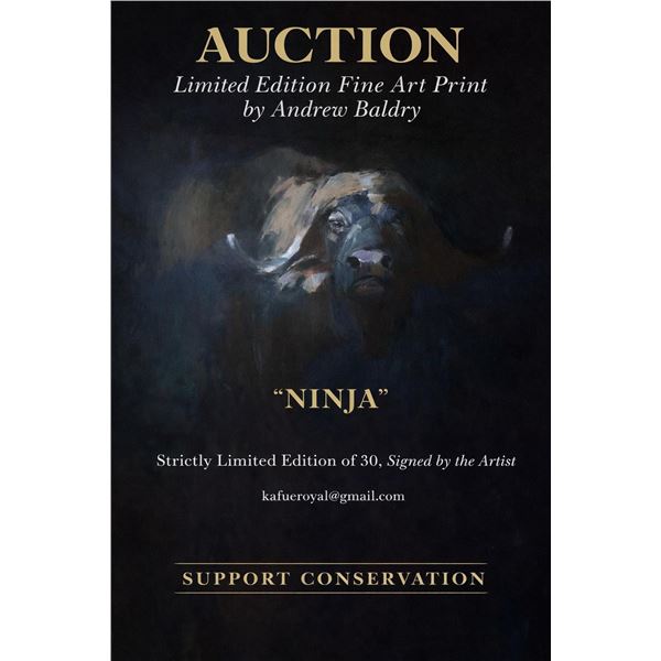 Ninja - Limited edition Fine Art Print by Andrew baldry