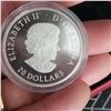 Image 4 : 2016 RCM $20 Maple Leaf Maze Fine Silver No GST