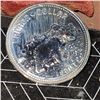 Image 1 : 1980 Silver Dollar