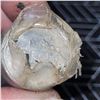 Image 2 : Manitoba Mint Roll