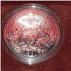 Image 1 : 1980 Silver Dollar
