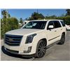 Image 1 : CADI ESCALADE 2015 T-REPO-SMOG-2 DAYS