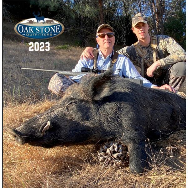 Three-day Wild Pig Hunt With Famous Oak Stone Outfitters in Central California