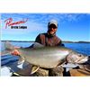 Image 3 : Plummer's Arctic Lodges –Fish Canada's Pristine Great Slave Lake – Unbelievable Ex
