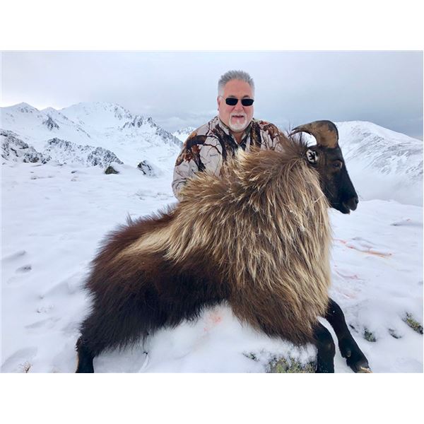 New Zealand Hunting Safaris Donated 2026 Tahr Hunt in the Southern Alps