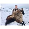 Image 1 : New Zealand Hunting Safaris Donated 2026 Tahr Hunt in the Southern Alps