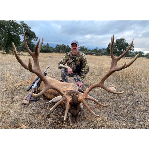 Red Stag Hunt In Spain with Long-time Donors Giuseppe and Curro Carrizosa