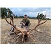 Image 1 : Red Stag Hunt In Spain with Long-time Donors Giuseppe and Curro Carrizosa