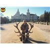 Image 2 : Red Stag Hunt In Spain with Long-time Donors Giuseppe and Curro Carrizosa