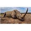 Image 1 : Super-Rare Opportunity!! Darted White Rhino! Qualifies for the SCI Big Five!!!