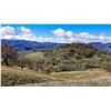 Image 1 : 9 Great August 2026 Hopland California Opening Day D-I-Y Blacktail Deer Hunt