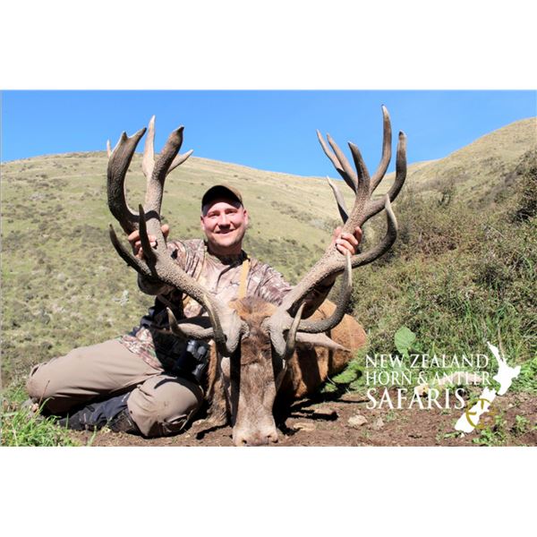 New Zealand 10-Day  Hunt for Red Stag, Bull Tahr, Alpine Chamois for 1 to a maximum of 4 hunters