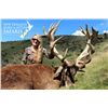 Image 2 : New Zealand 10-Day  Hunt for Red Stag, Bull Tahr, Alpine Chamois for 1 to a maximum of 4 hunters